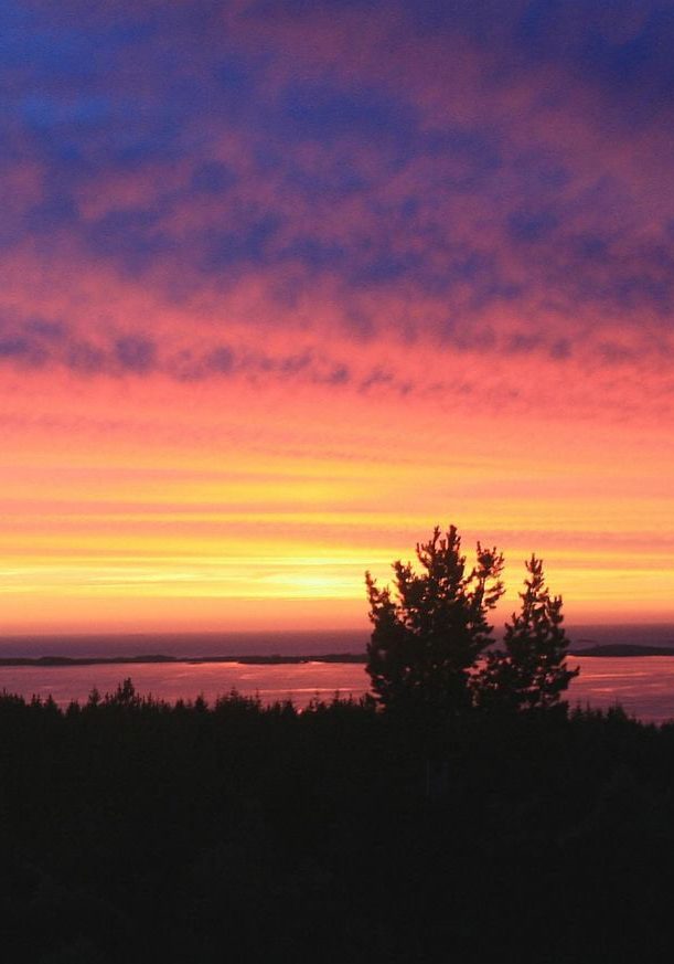 tsbolig-tomter-averoya-Solnedgang